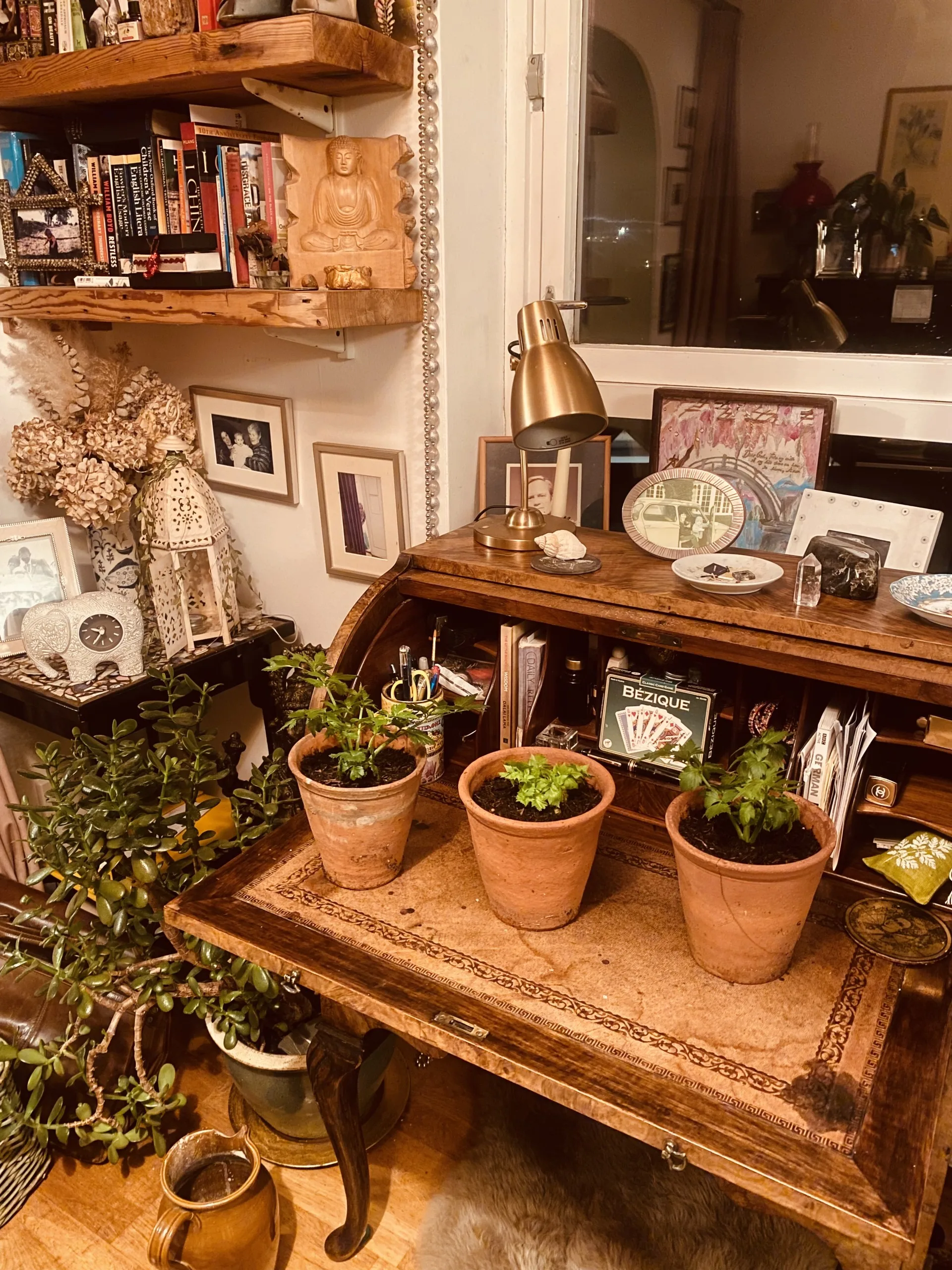 Lessons from Celery: An Edible Exploration of the Self